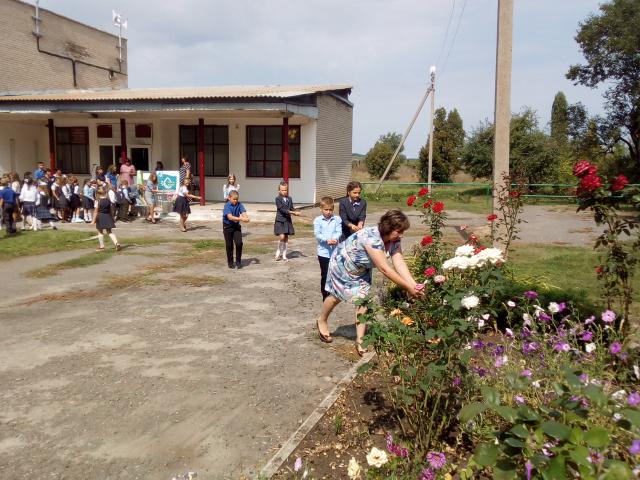 IMG 20190903 112335