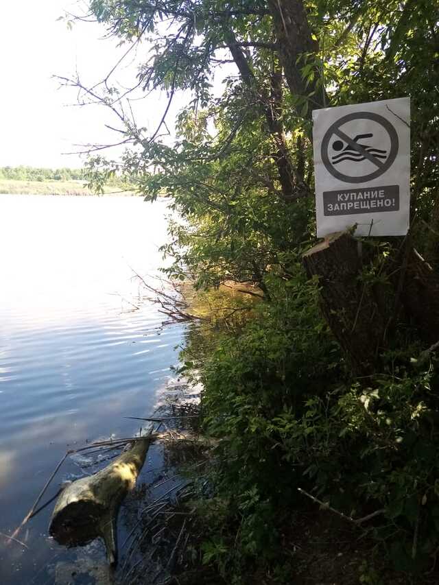 IMG 20220617 WA0006